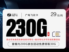 广电飞欣卡【首年29元230G】